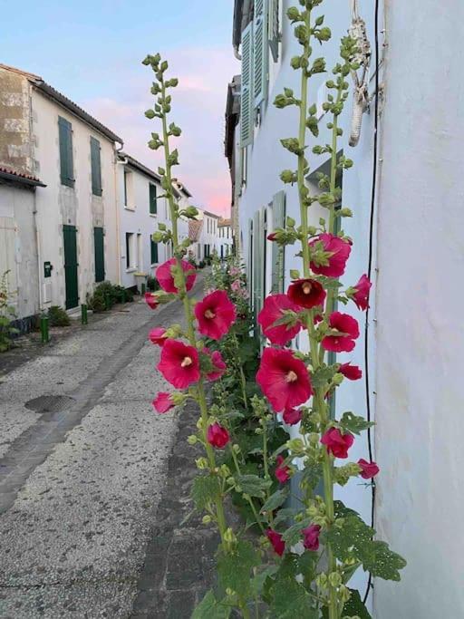 Maison De Vacances La Flotte 00491Ui エクステリア 写真